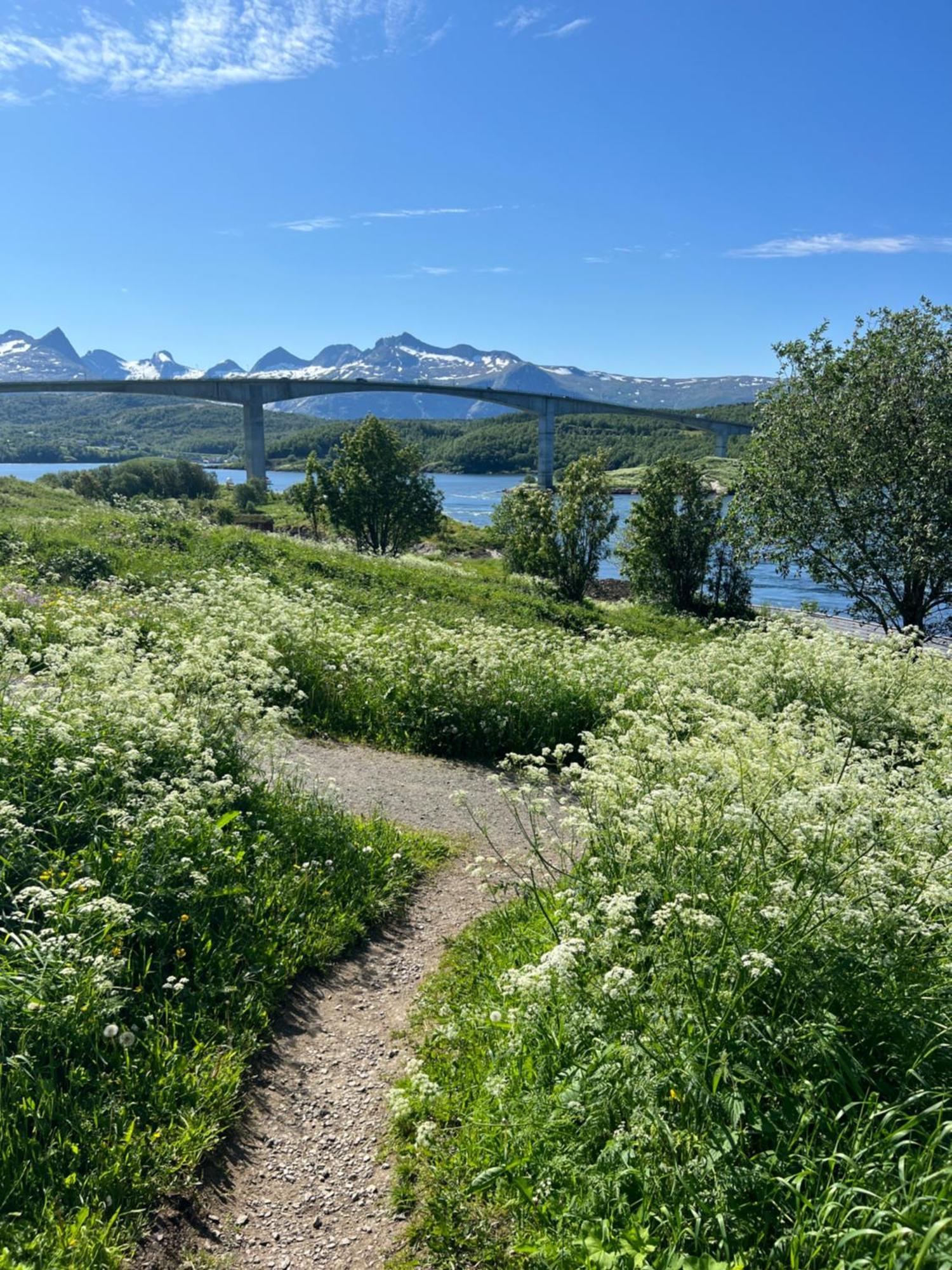Saltstraumen Hotels Hytter Knapplund Kültér fotó